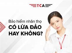 Bảo Hiểm Tca Care Có Lừa Đảo Không Ạ