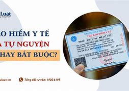 Bảo Hiểm Y Tế Học Sinh Có Bắt Buộc Không