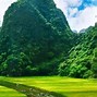 Hanoi Ninh Binh Tour