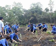 Học Sinh Trồng Cây Gây Rừng