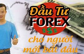 Học Trade Forex Cho Người Mới Bắt Đầu