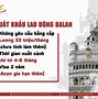 Sakura Nhạc Tiếng Nhật Có Lời Bài Hát Tiếng Việt Là Gì